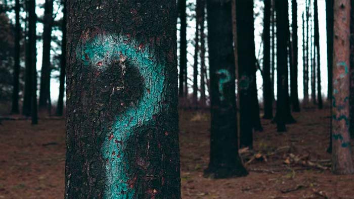 4 Ways to Protect Your IP When Manufacturing in China